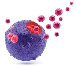 Nanoparticle tracking analysis of exosomes