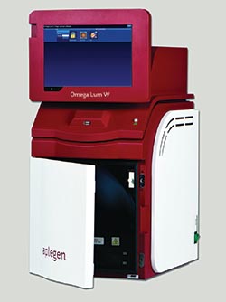 Western blot imaging: a new player in the market