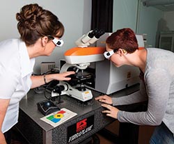 Scanning electron microscopy