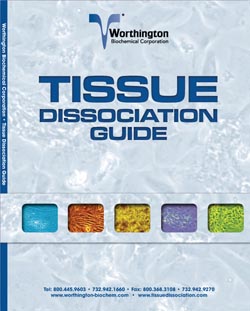 Tissue dissociation