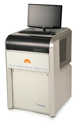 Live-cell imaging and analysis
