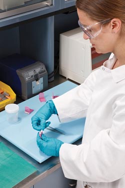 Labelling solution a clear advantage in Wales