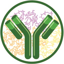 Randox offers assay development package