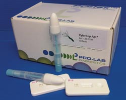 Rapid Helicobacter pylori detection