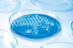 Lab efficiency improved with WinLIMS