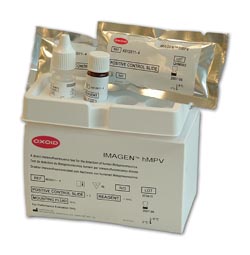 Testing for human metapneumovirus