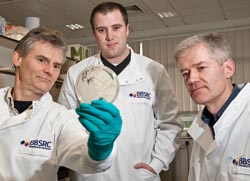 Antibiotic molecule from soil heralds a new therapeutic era