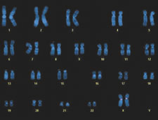 Cytogenetics analysis benefits from collaboration