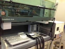 Freedom in quatitative PCR