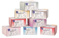 Parvovirus B19 R-gene kit