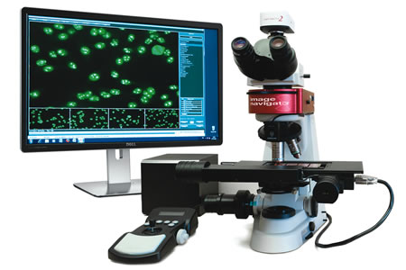 Images for autoantibody screening