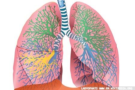 Upgraded respiratory multiplex array