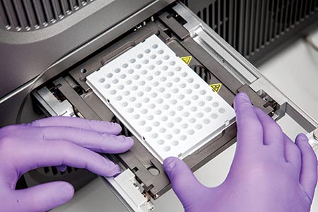 Preparation of DNA from blood