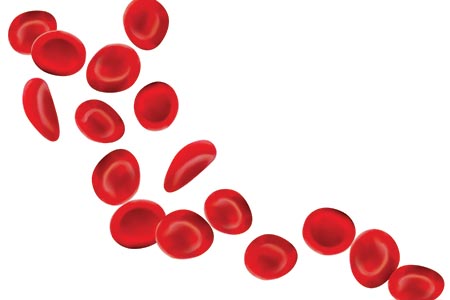 Blood filtration extended to the fight against leukaemia