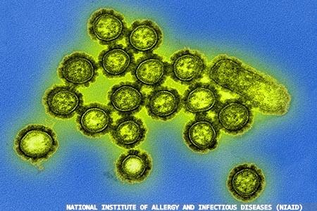Predicting universal anti-influenza drugs