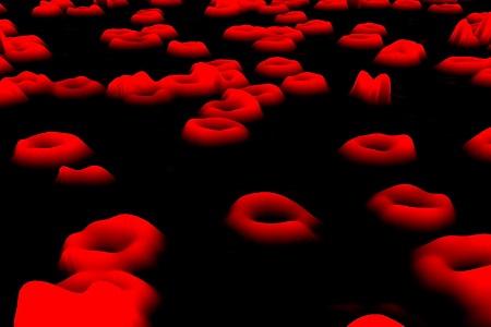 Potassium is critical to circadian rhythms in human red blood cells