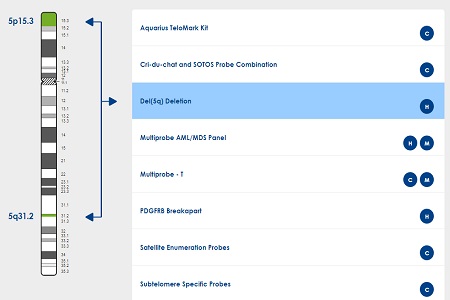 Improved online access to expert FISH advice