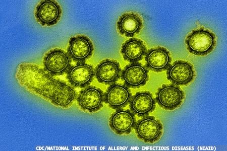 Marking 100 years since the deadliest pandemic in human history