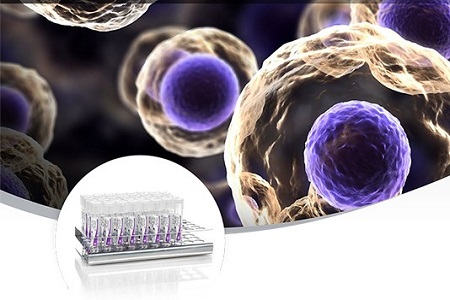 Clinical flow cytometry supported by new 10-colour system