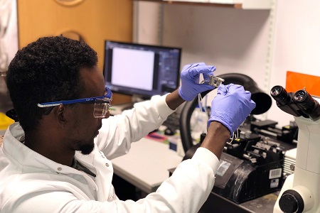 Fluorescent biosensors as tools for drug therapeutics