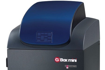 Enhancing protein detection and quantification