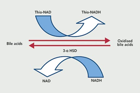 Bile acids detection: the value of fourth- and fifth-generation tests