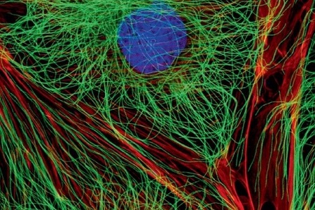 Revolutionary next-generation objectives launched