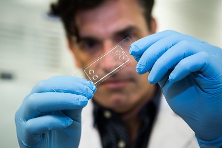 Lab-on-a-chip drives search for new drugs to prevent blood clots 