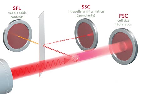 CBC-O: how haematology  systems aid investigation  of a raised MCHC