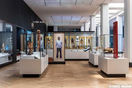 Medicine: The Wellcome Galleries