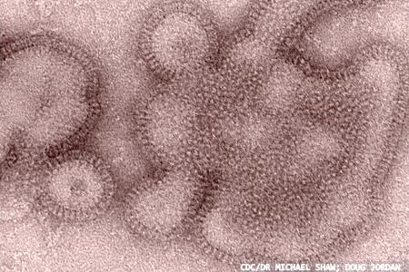 Increasing global demand for rapid POC influenza diagnostic tests