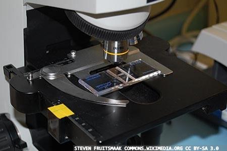 Point-of-care paediatric urine microscopy: a quality training model