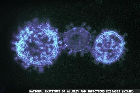 A trio of tests for COVID-19