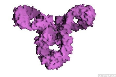 Tests in development to detect coronavirus antibodies 