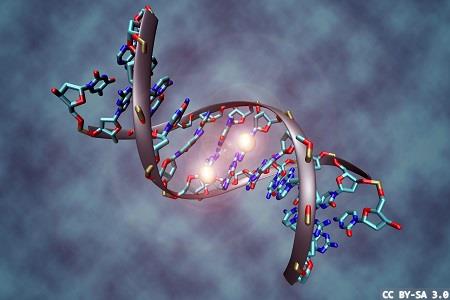 Novel biomarker for cancer therapy: a webinar