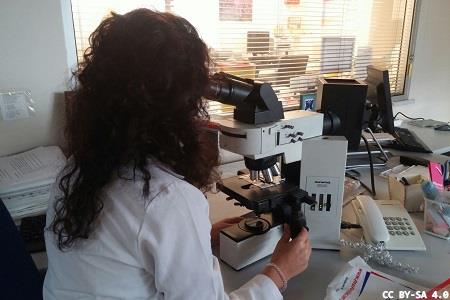 Digital pathology software: expanding availability