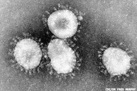 Whole pathogen molecular controls for SARS-CoV-2 receive CE marking