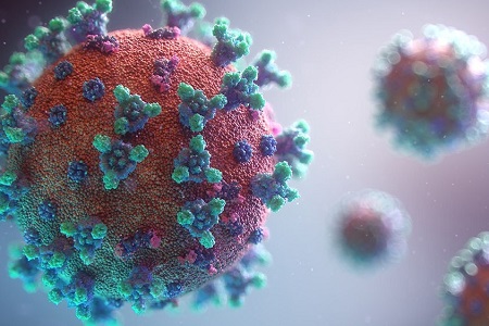 Three-dimensional model of SARS-CoV-2 in detail