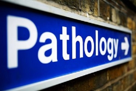 Rapid reports and automated SNOMED coding in histopathology