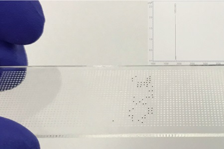 Clinical validation of Adeptrix COVID-19 diagnostic test