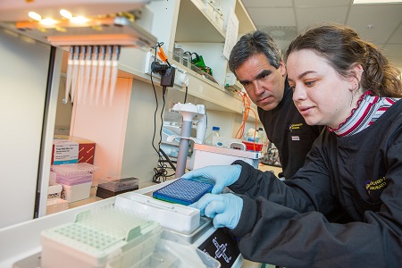 Pipetting robot offers flexibility in virology research