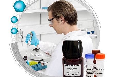 Ready-to-use kit for rapid AAV titre determination