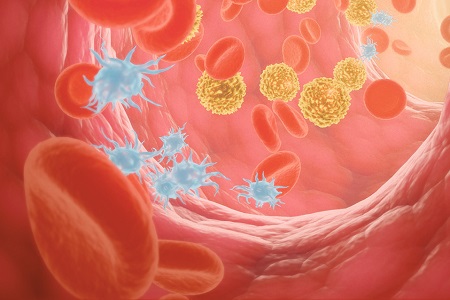 Haemoscore app: decision-making in thrombosis and bleeding disorders