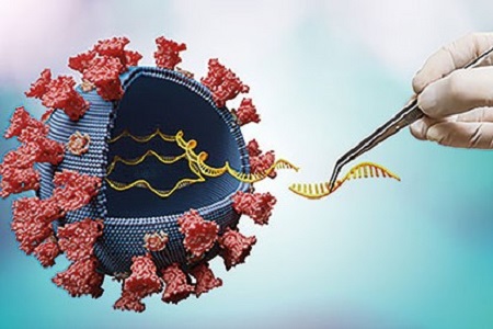 DNA and RNA extraction, now with automated option