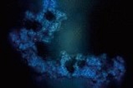 Kidney biomarkers: clinical aspects and laboratory determination