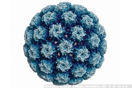 Blood test offers diagnostic potential for HPV-related cancers