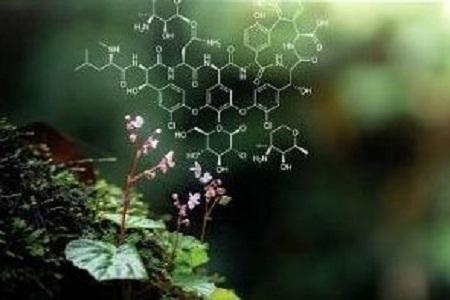Evolutionary Diversity as a Source for Anticancer Molecules 