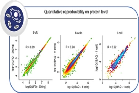 Progress in unbiased, quantitative true single-cell proteomics