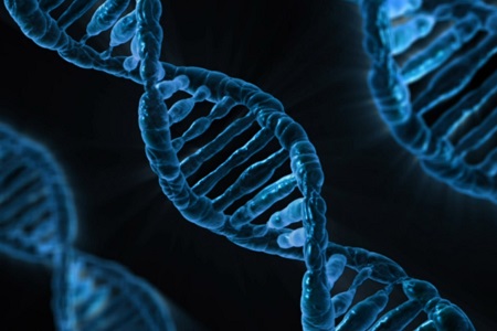 Branching out: DNA advances in degenerative disease treatments