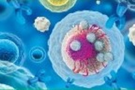 Immunotherapy in resistant cancer: from the bench to the clinic